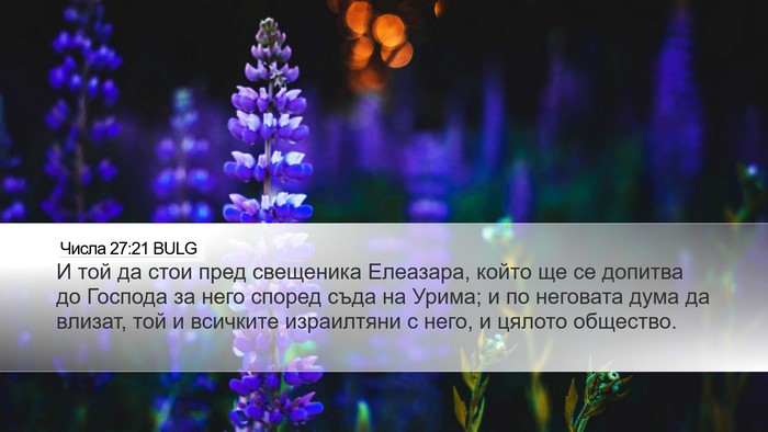 Числа 27:21 BULG Bible Verse Image