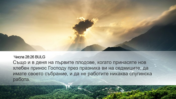 Числа 28:26 BULG Desktop Wallpaper - Също и в деня на първите - Desktop Bible Verse Wallpaper