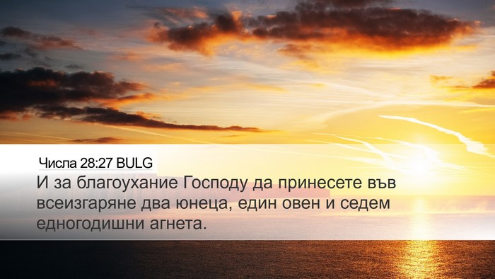 Числа 28:27 BULG Bible Verse Image