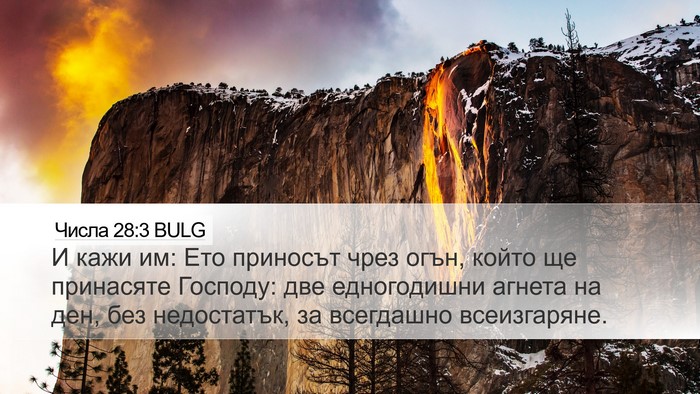 Числа 28:3 BULG Bible Verse Image