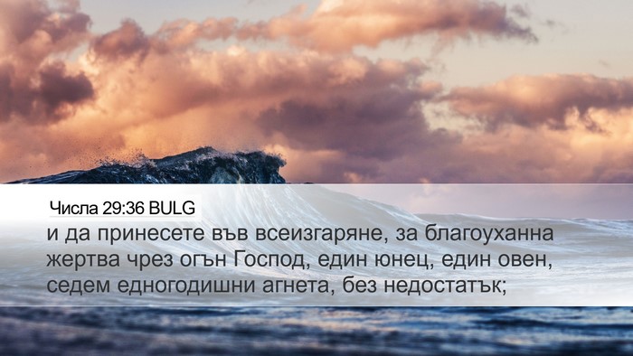 Числа 29:36 BULG Bible Verse Image