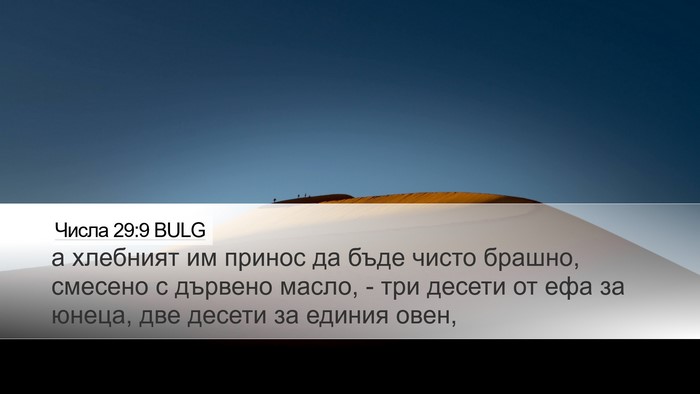Числа 29:9 BULG Desktop Wallpaper - а хлебният им принос да - Desktop Bible Verse Wallpaper