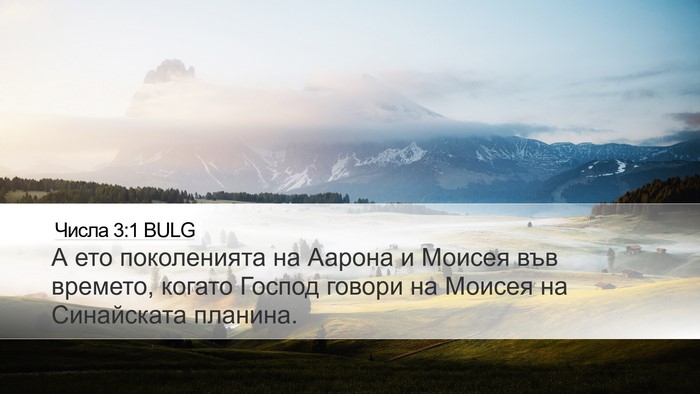 Числа 3:1 BULG Bible Verse Image