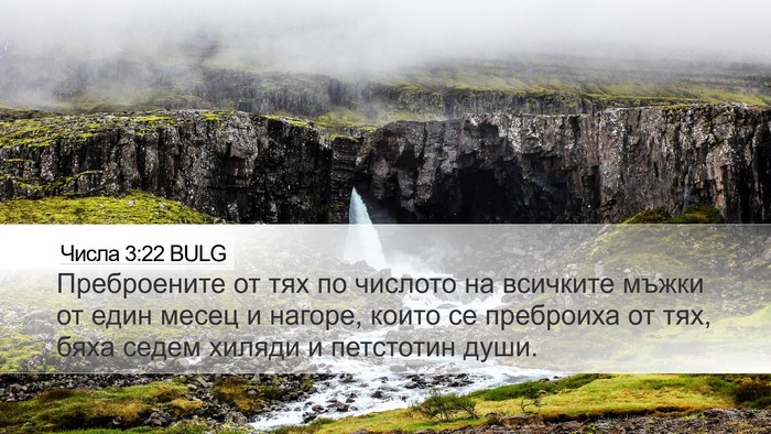 Числа 3:22 BULG Bible Verse Image