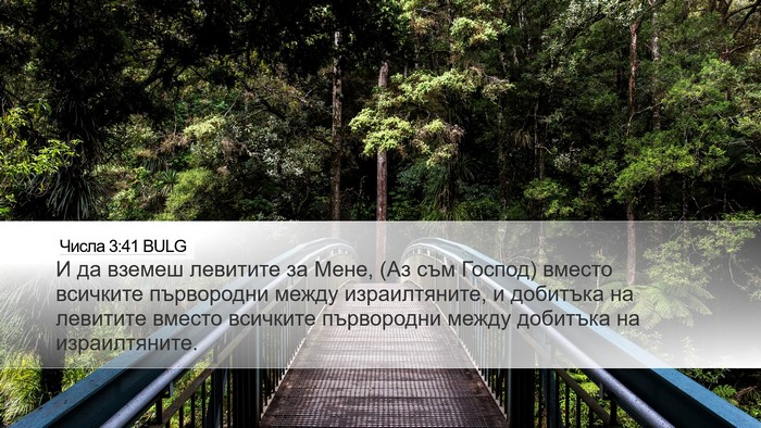 Числа 3:41 BULG Desktop Wallpaper - И да вземеш левитите за - Desktop Bible Verse Wallpaper