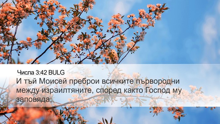 Числа 3:42 BULG Desktop Wallpaper - И тъй Моисей преброи - Desktop Bible Verse Wallpaper