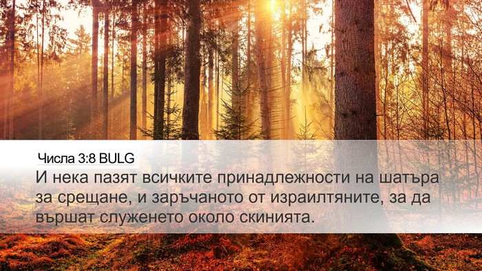 Числа 3:8 BULG Bible Verse Image