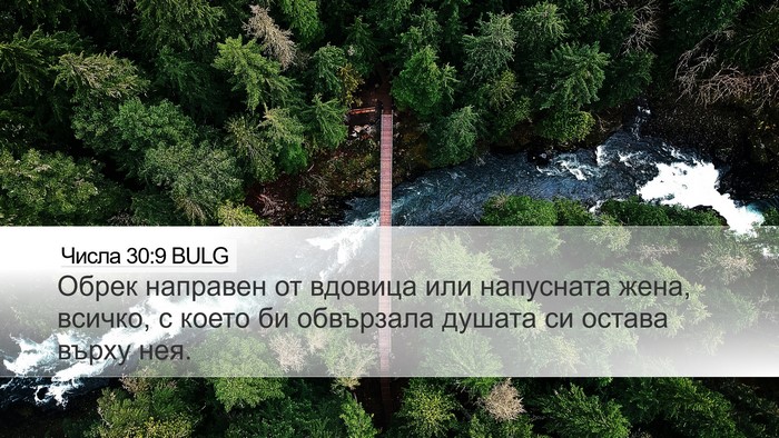 Числа 30:9 BULG Bible Verse Image