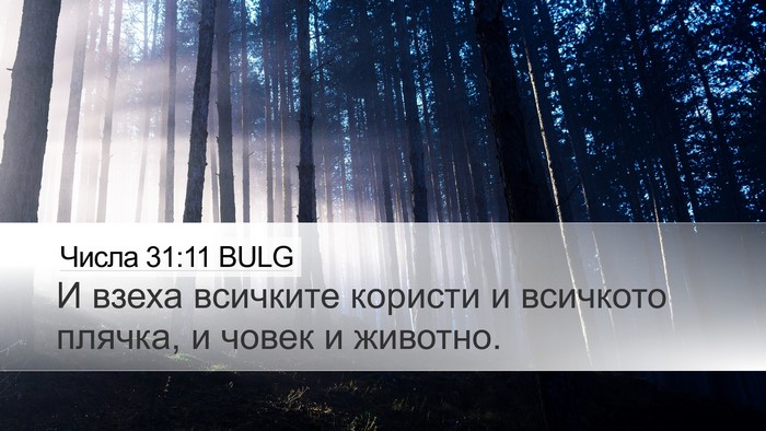 Числа 31:11 BULG Bible Verse Image
