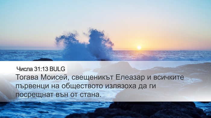 Числа 31:13 BULG Desktop Wallpaper - Тогава Моисей, свещеникът - Desktop Bible Verse Wallpaper