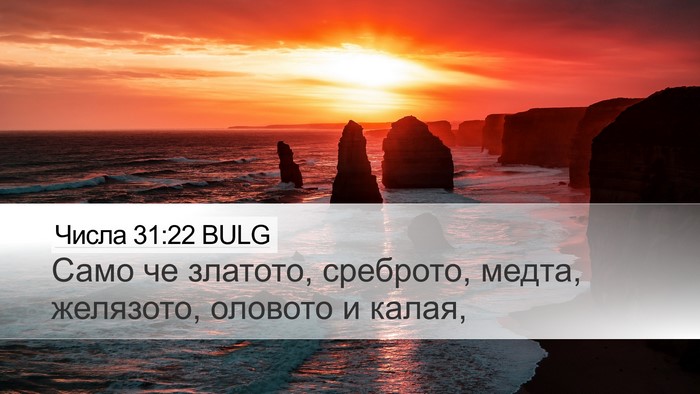Числа 31:22 BULG Bible Verse Image