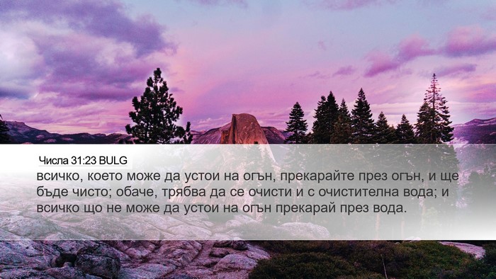 Числа 31:23 BULG Desktop Wallpaper - всичко, което може да устои - Desktop Bible Verse Wallpaper