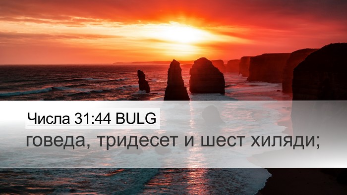 Числа 31:44 BULG Desktop Wallpaper - говеда, тридесет и шест - Desktop Bible Verse Wallpaper