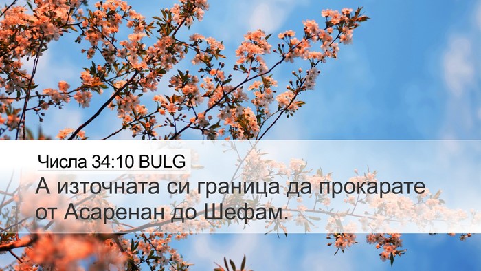 Числа 34:10 BULG Bible Verse Image