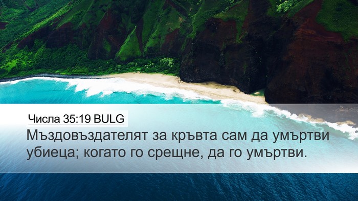 Числа 35:19 BULG Bible Verse Image