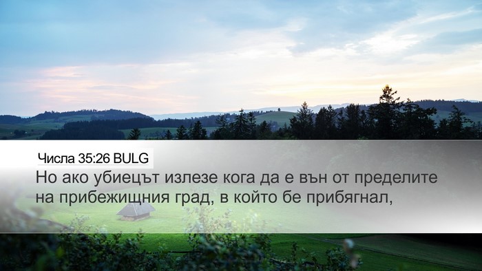 Числа 35:26 BULG Desktop Wallpaper - Но ако убиецът излезе кога - Desktop Bible Verse Wallpaper