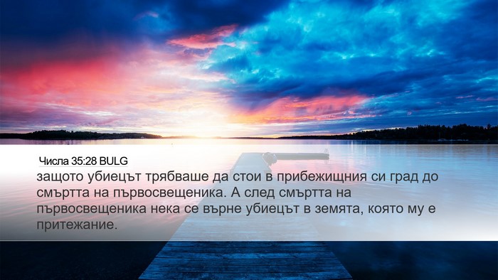 Числа 35:28 BULG Bible Verse Image