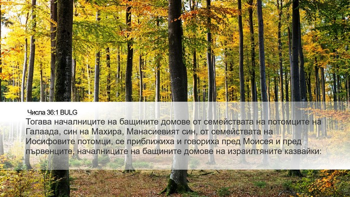 Числа 36:1 BULG Bible Verse Image