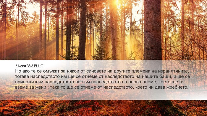 Числа 36:3 BULG Desktop Wallpaper - Но ако те се омъжат за - Desktop Bible Verse Wallpaper