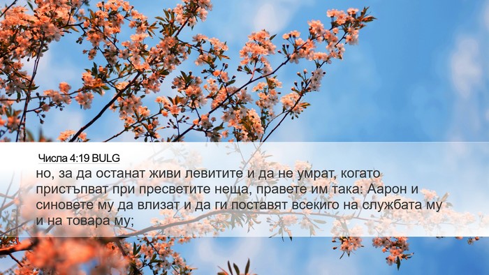 Числа 4:19 BULG Bible Verse Image
