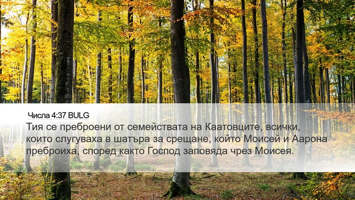 Числа 4:37 BULG Bible Verse Image