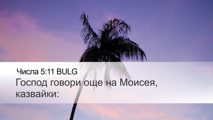 Числа 5:11 BULG Bible Verse Image