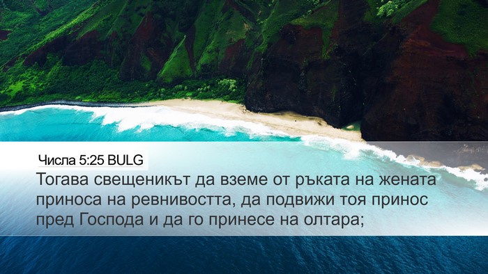 Числа 5:25 BULG Bible Verse Image
