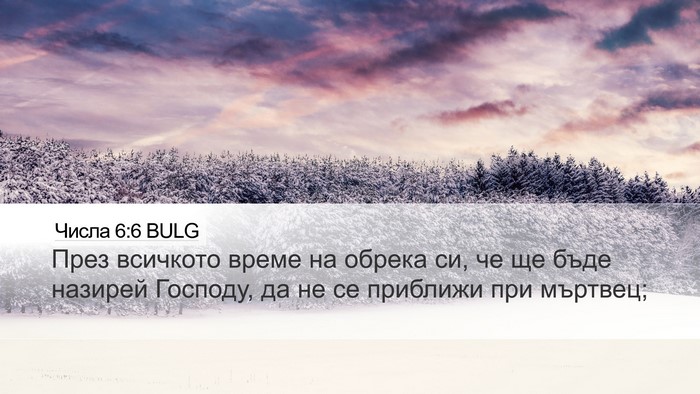 Числа 6:6 BULG Bible Verse Image