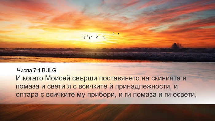 Числа 7:1 BULG Bible Verse Image