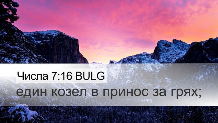 Числа 7:16 BULG Bible Verse Image