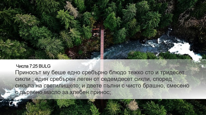 Числа 7:25 BULG Desktop Wallpaper - Приносът му беше едно - Desktop Bible Verse Wallpaper