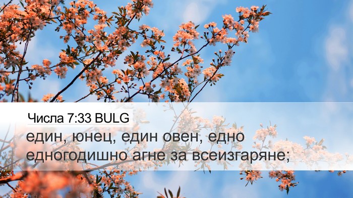 Числа 7:33 BULG Desktop Wallpaper - един, юнец, един овен, едно - Desktop Bible Verse Wallpaper