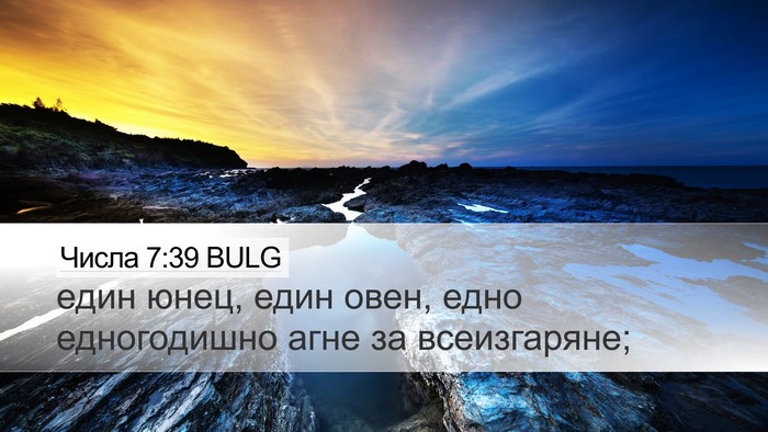 Числа 7:39 BULG Desktop Wallpaper - един юнец, един овен, едно - Desktop Bible Verse Wallpaper