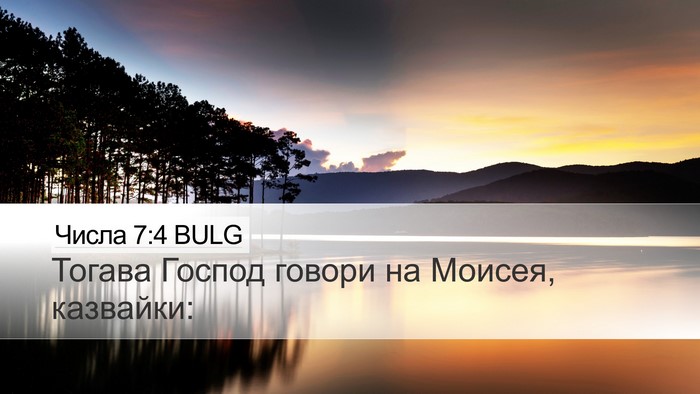 Числа 7:4 BULG Bible Verse Image