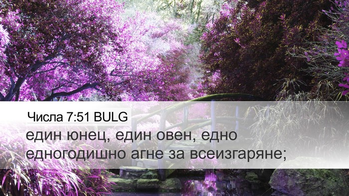 Числа 7:51 BULG Desktop Wallpaper - един юнец, един овен, едно - Desktop Bible Verse Wallpaper