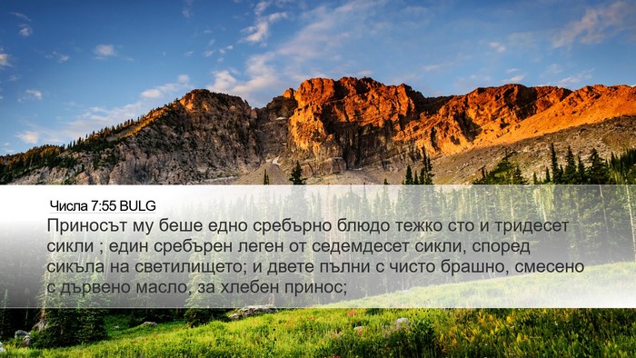 Числа 7:55 BULG Desktop Wallpaper - Приносът му беше едно - Desktop Bible Verse Wallpaper
