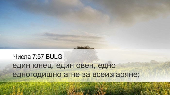 Числа 7:57 BULG Desktop Wallpaper - един юнец, един овен, едно - Desktop Bible Verse Wallpaper