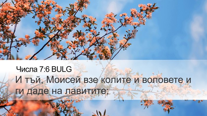 Числа 7:6 BULG Desktop Wallpaper - И тъй, Моисей взе колите и - Desktop Bible Verse Wallpaper