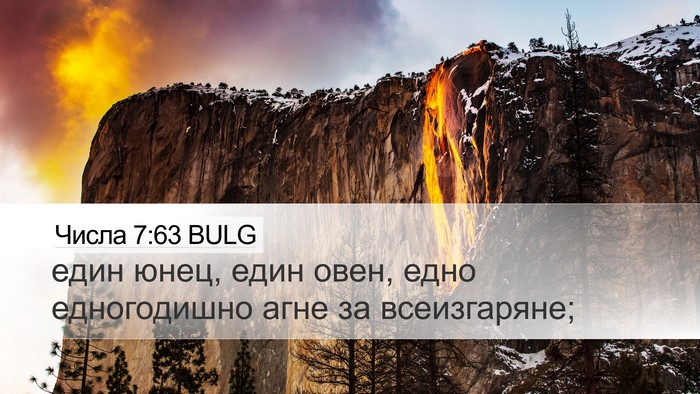 Числа 7:63 BULG Desktop Wallpaper - един юнец, един овен, едно - Desktop Bible Verse Wallpaper