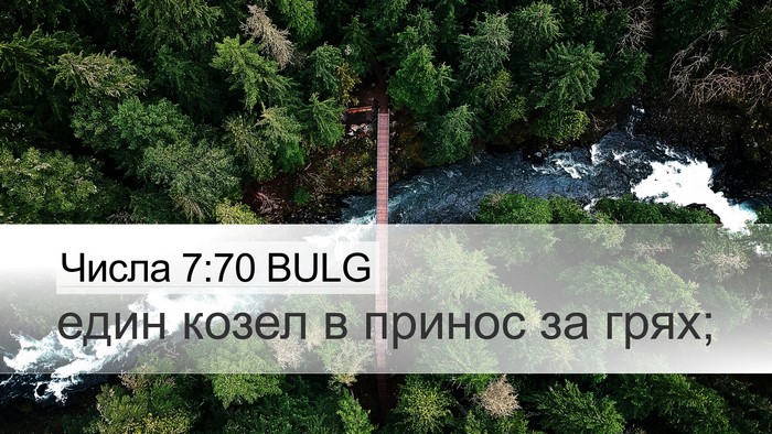 Числа 7:70 BULG Desktop Wallpaper - един козел в принос за - Desktop Bible Verse Wallpaper