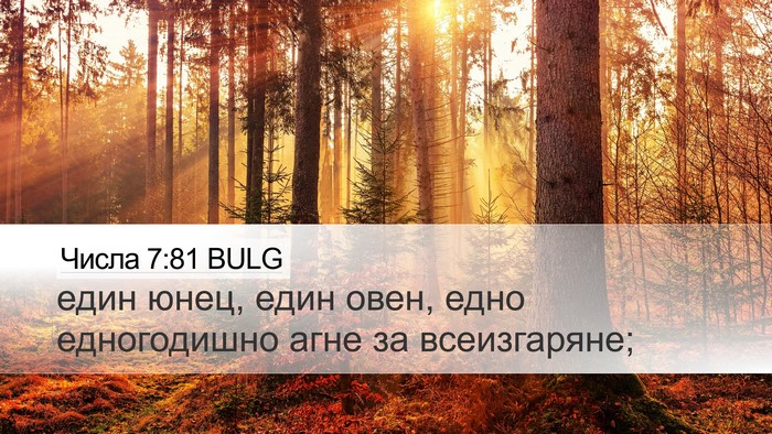 Числа 7:81 BULG Desktop Wallpaper - един юнец, един овен, едно - Desktop Bible Verse Wallpaper