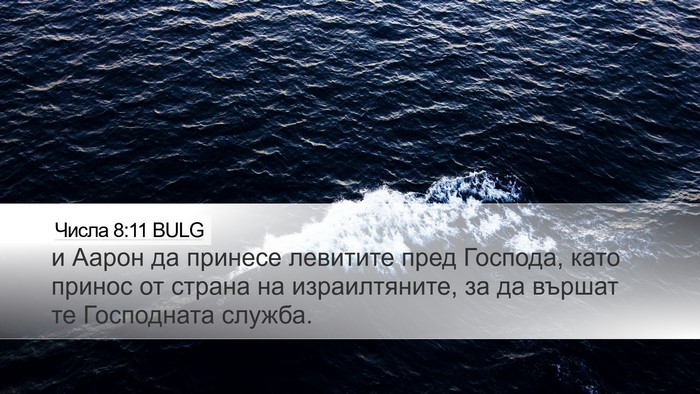 Числа 8:11 BULG Desktop Wallpaper - и Аарон да принесе - Desktop Bible Verse Wallpaper
