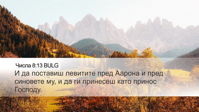 Числа 8:13 BULG Bible Verse Image