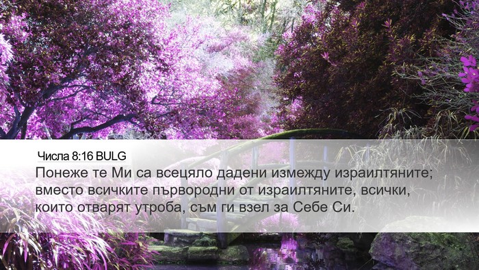 Числа 8:16 BULG Bible Verse Image