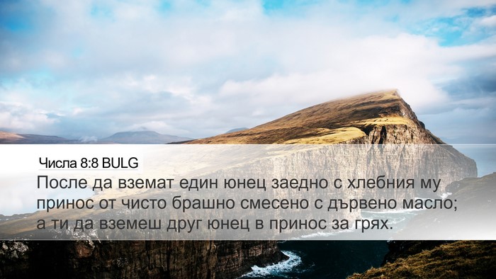 Числа 8:8 BULG Bible Verse Image