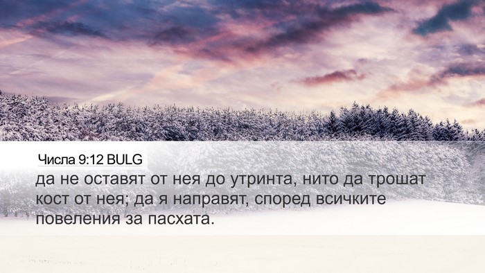 Числа 9:12 BULG Bible Verse Image