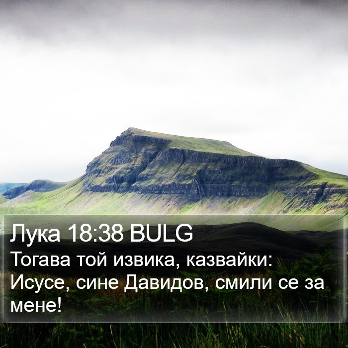 Лука 18:38 BULG - Тогава той извика,