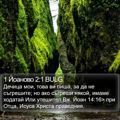1 Йоаново 2:1 BULG Bible Verse Image