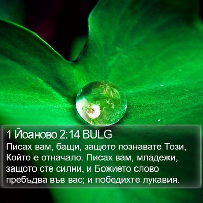 1 Йоаново 2:14 BULG Bible Verse Image
