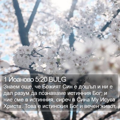1 Йоаново 5:20 BULG Bible Verse Image